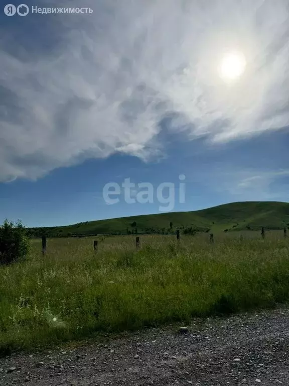 Участок в Майминский район, село Подгорное (103.7 м) - Фото 1