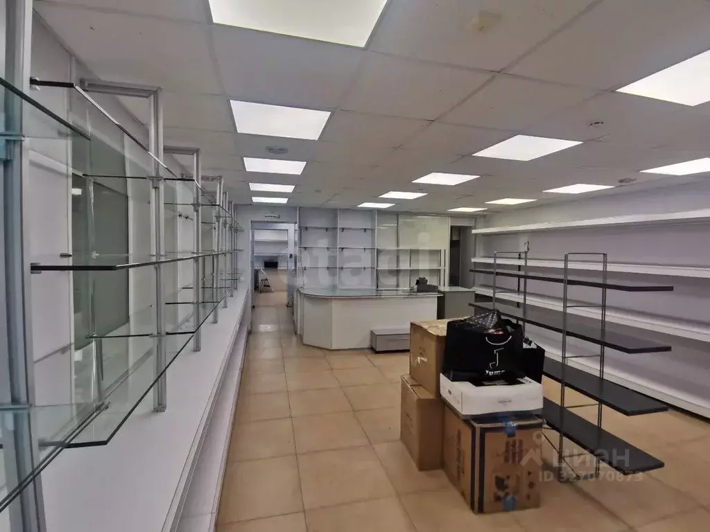 Помещение свободного назначения в Камчатский край, Елизово ул. ... - Фото 1