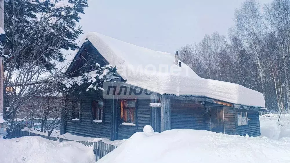 Дом в Пермский край, Краснокамск ул. Тимирязева, 16 (33 м) - Фото 1