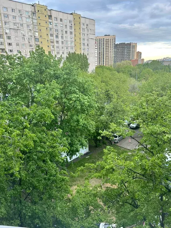 Продаётся 1-к квартира, 32.7 м - Фото 1