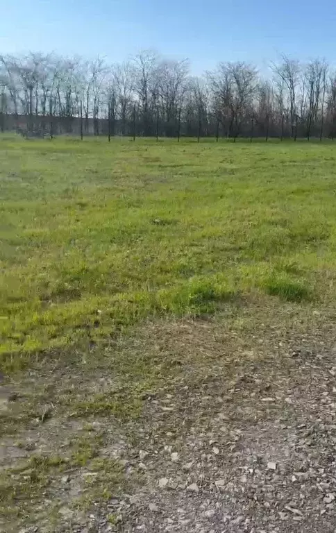 Участок в Ростовская область, Азовский район, Новоалександровка хут. ... - Фото 1