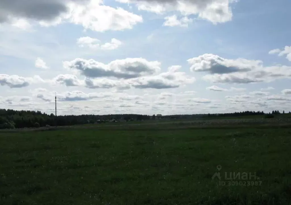 Участок в Кировская область, Слободской район, Шиховское с/пос, д. ... - Фото 1