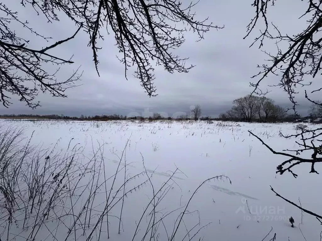 Участок в Брянская область, Жуковский муниципальный округ, с. Овстуг ... - Фото 1