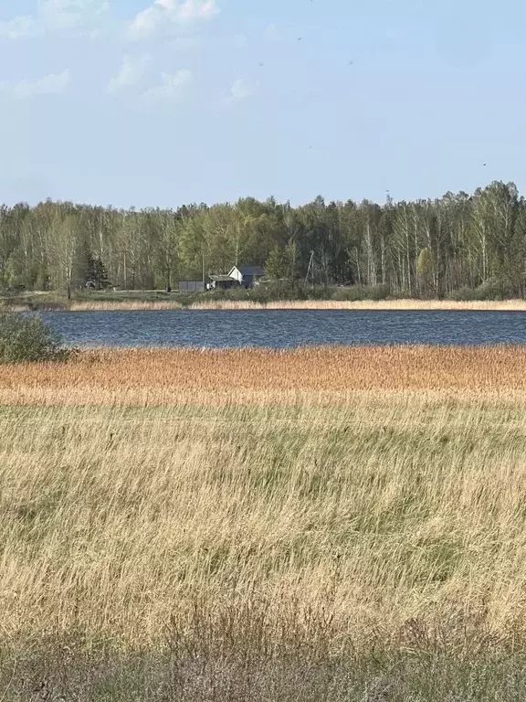 Участок в Татарстан, Лаишевский район, Нармонское с/пос, с. Тетеево  ... - Фото 1