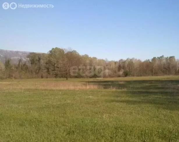 Участок в Алтайский район, село Верх-Ая, Школьная улица (920 м) - Фото 1