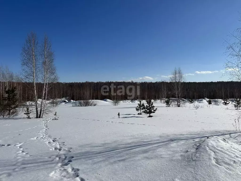 Участок в Челябинская область, Сосновский район, с. Кременкуль  (5.5 ... - Фото 1