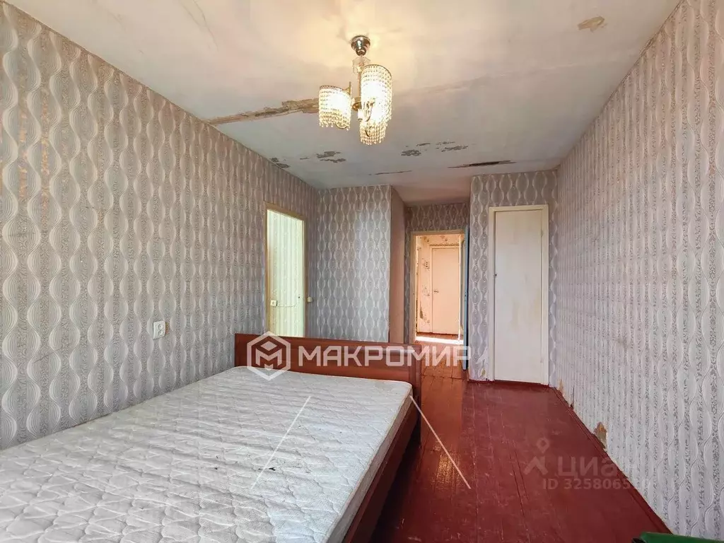 3-к кв. Ленинградская область, Лужский район, пос. Мшинская ул. ... - Фото 2