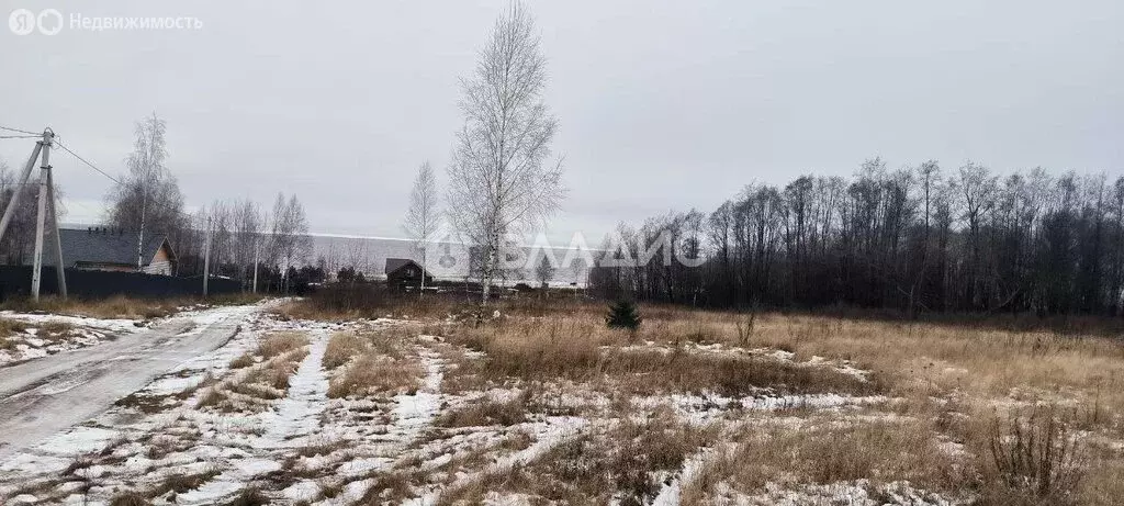 Участок в Ярославская область, Рыбинский муниципальный округ, ... - Фото 0