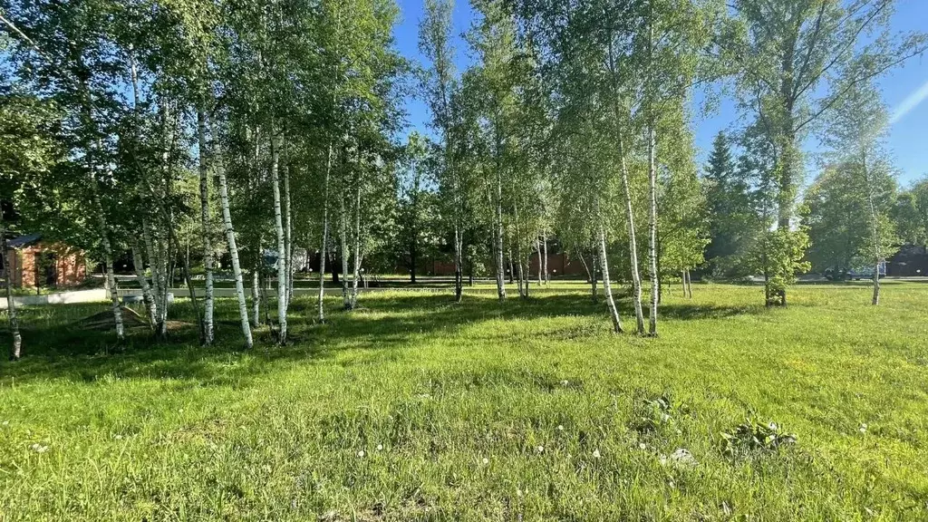 Участок в Московская область, Одинцовский городской округ, д. ... - Фото 2