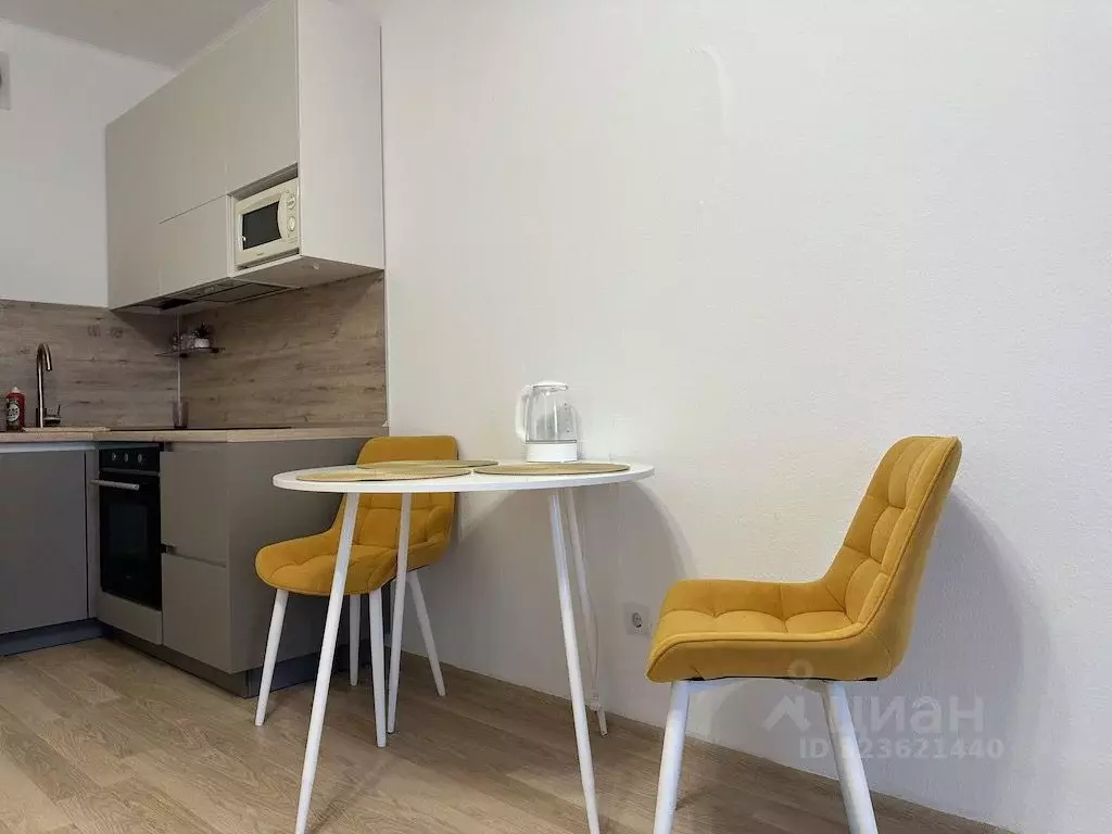 Студия Свердловская область, Екатеринбург ул. Сурикова, 63 (28.0 м) - Фото 2