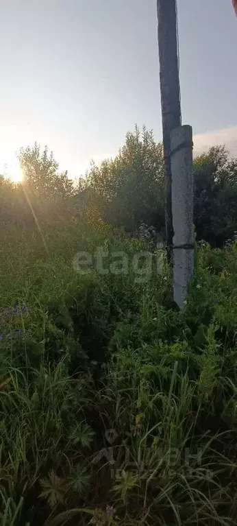 Дом в Вологодская область, Вологда Энергетик садоводческое ... - Фото 1