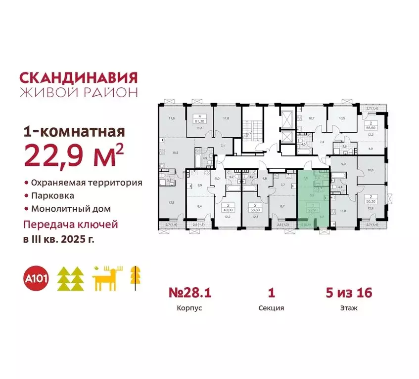 Квартира-студия: поселение Сосенское, квартал № 167 (22.9 м) - Фото 1