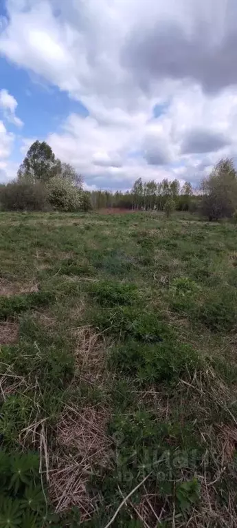 Участок в Нижегородская область, Городецкий муниципальный округ, д. ... - Фото 0