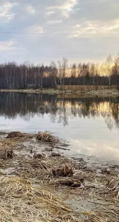 Участок в Костромская область, Красносельский район, Сидоровское ... - Фото 1