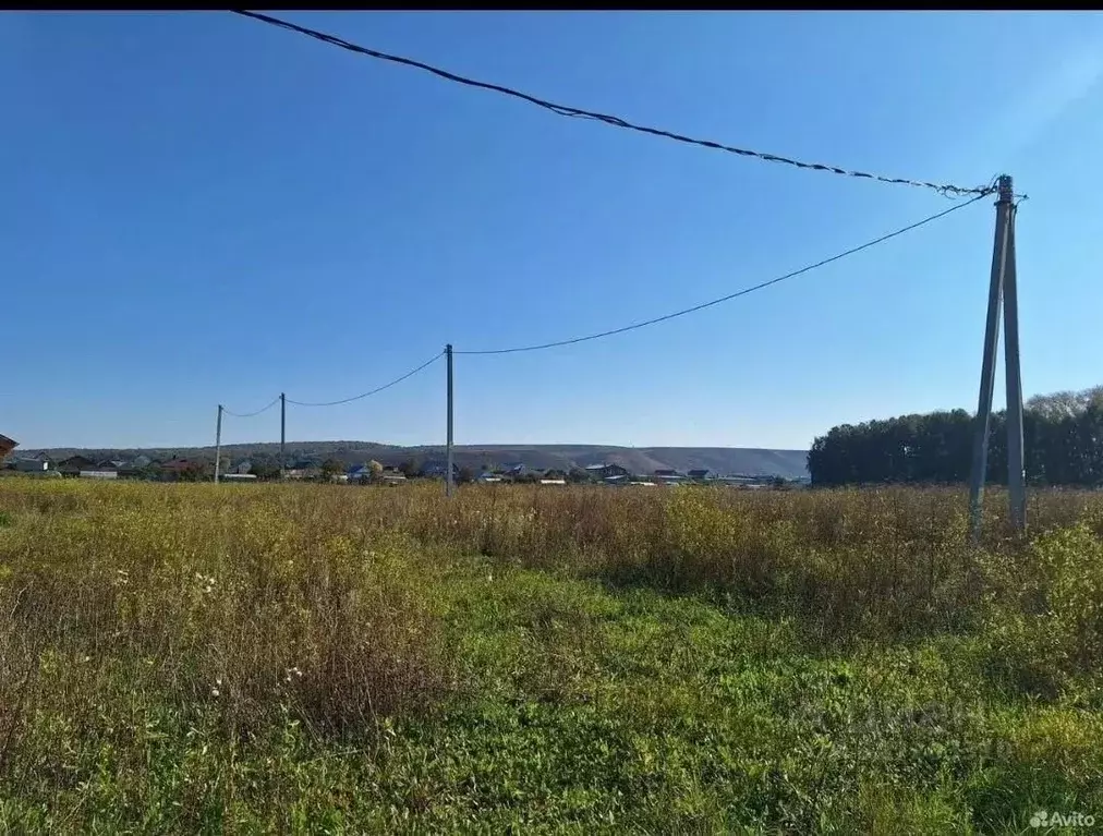 Участок в Татарстан, Нижнекамский район, Шингальчинское с/пос, д. ... - Фото 1