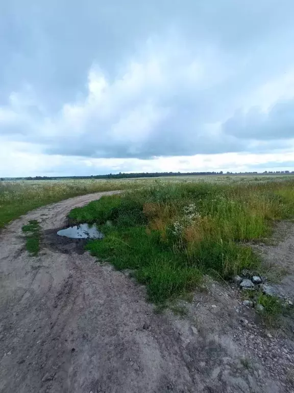 Участок в Брянская область, Жуковка Краснослободская ул. (319000.0 ... - Фото 1