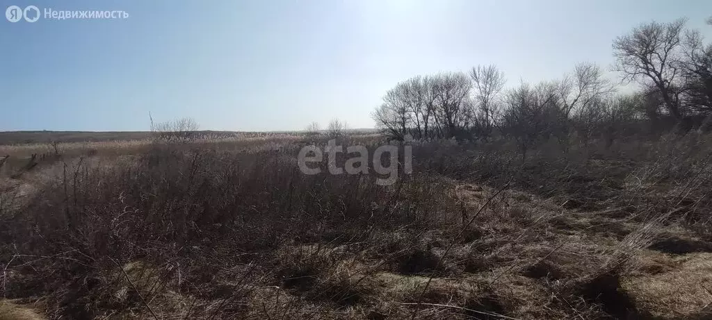 участок в васильево-ханжоновское сельское поселение, село щербаково, . - Фото 1