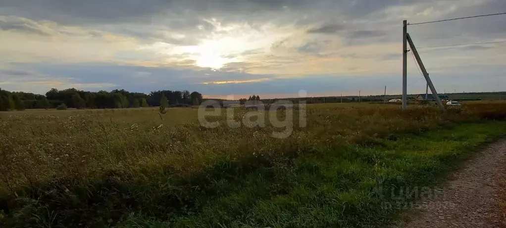 Участок в Новосибирская область, Коченевский район, Эко-городок ... - Фото 0