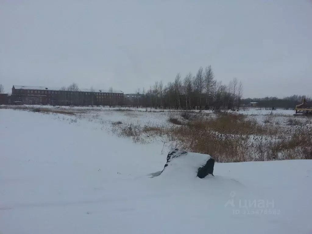 Участок в Омская область, Омск ул. 2-я Солнечная, 25 (2.0368 сот.) - Фото 1