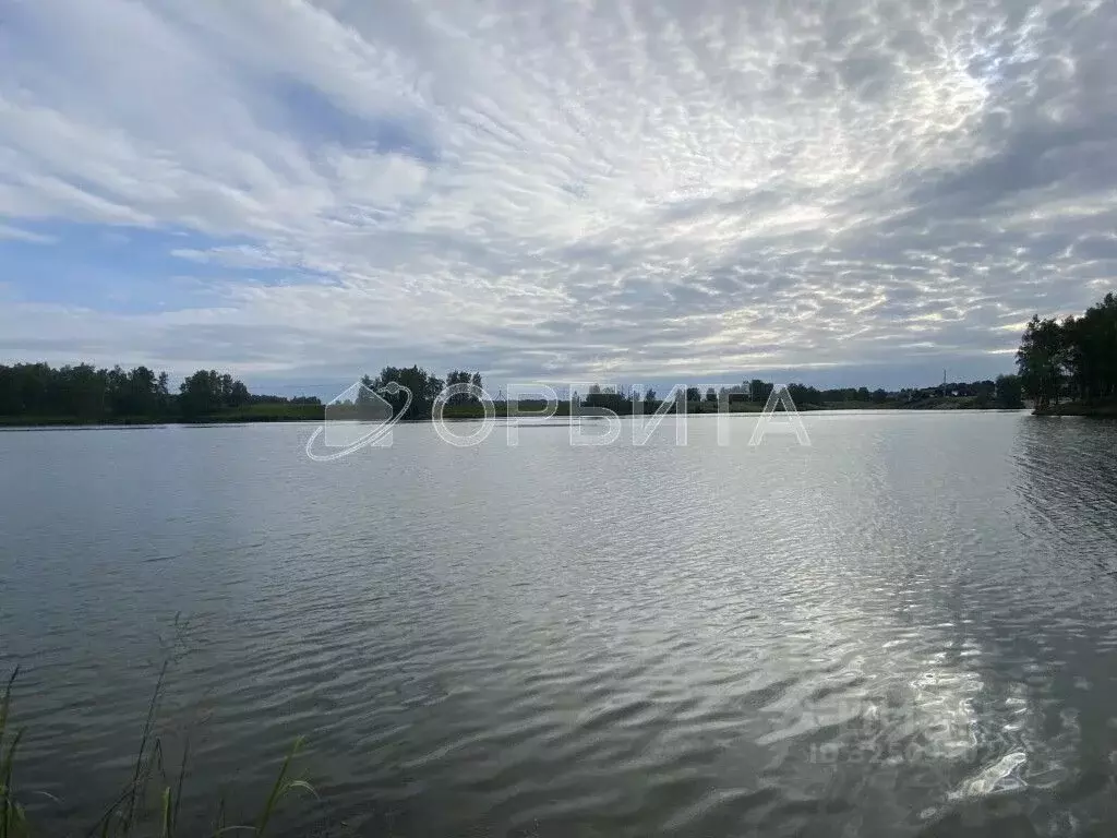 Участок в Тюменская область, Тюменский муниципальный округ, д. ... - Фото 2