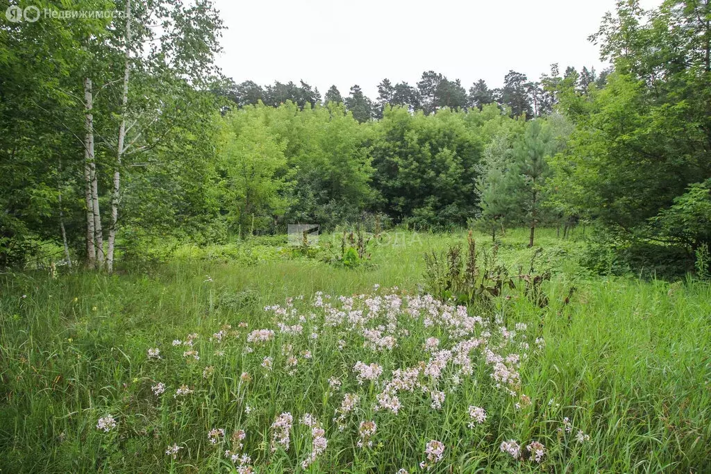 Участок в Борзовая Заимка, Майская улица (30 м) - Фото 0