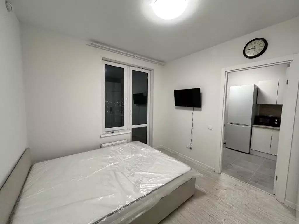 1-к кв. Санкт-Петербург пос. Шушары, просп. Старорусский, 5к2 (29.4 м) - Фото 0