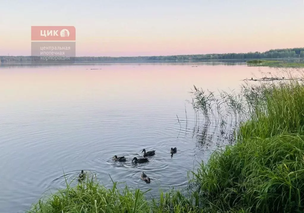 Участок в Рязанская область, Клепиковский муниципальный округ, д. ... - Фото 2