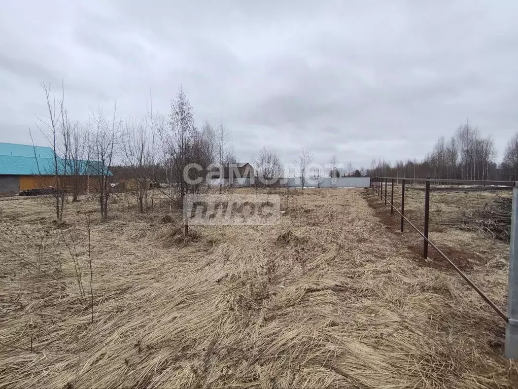 Участок в Марий Эл, Оршанка пгт ул. Березовая (16.0 сот.) - Фото 1