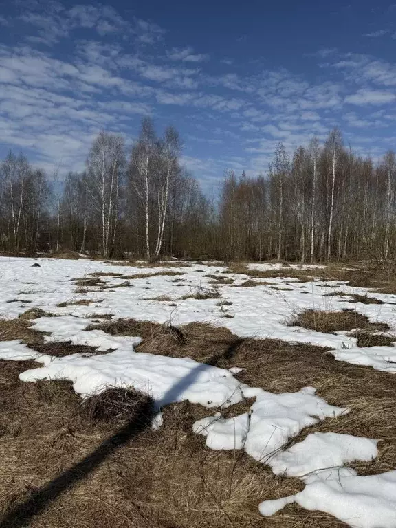 Участок в Московская область, Клин городской округ, Сокол СНТ 416 ... - Фото 1