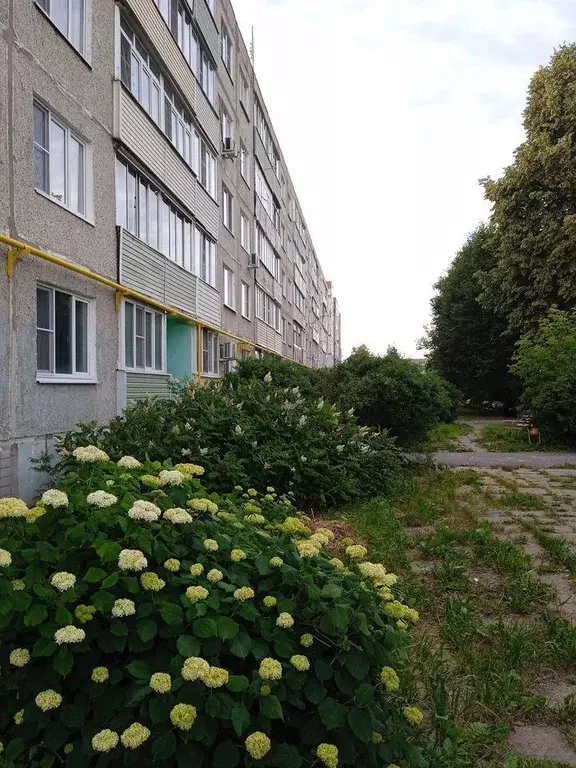 Квартира, 1 комната, 33 м - Фото 1
