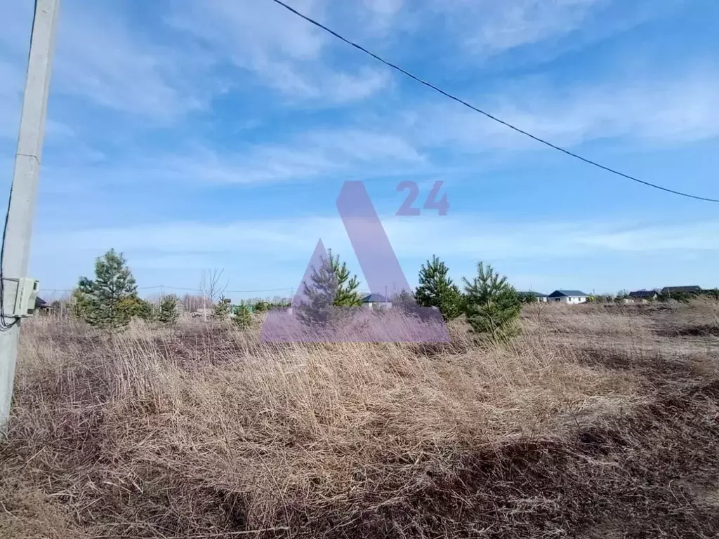 Участок в Алтайский край, Первомайский район, пос. Новый ул. Шукшина, ... - Фото 2