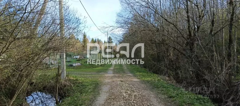Участок в Ленинградская область, Гатчинский район, Пролетарский Труд ... - Фото 1