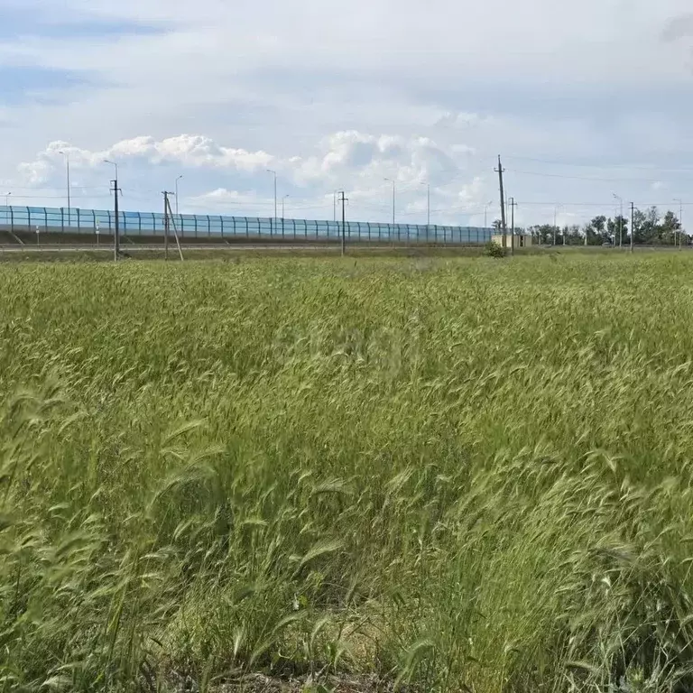 Участок в Краснодарский край, Анапа муниципальный округ, с. ... - Фото 2