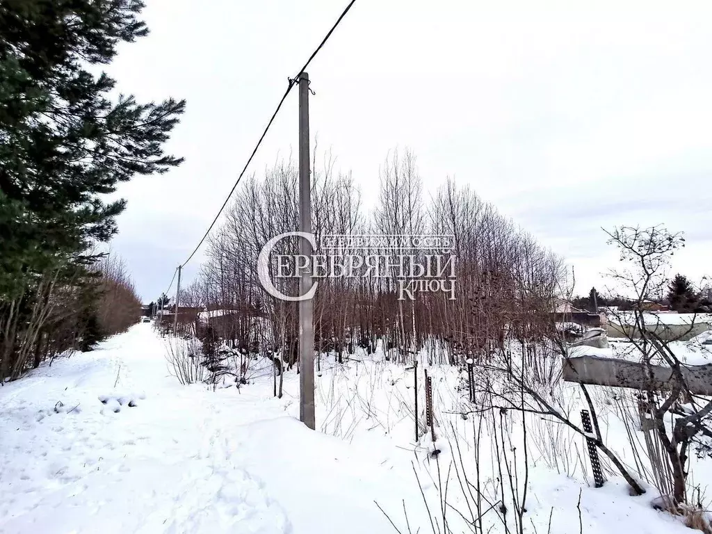 Участок в Ленинградская область, Сосновый Бор Клен СНТ, ул. Красивая, ... - Фото 0