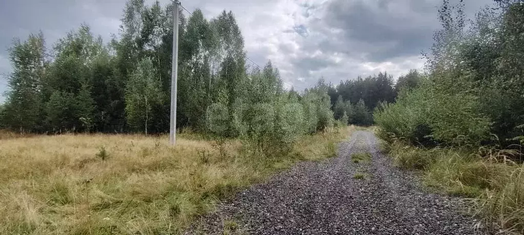 Участок в Нижегородская область, Выкса городской округ, Виля рп, пос. ... - Фото 1