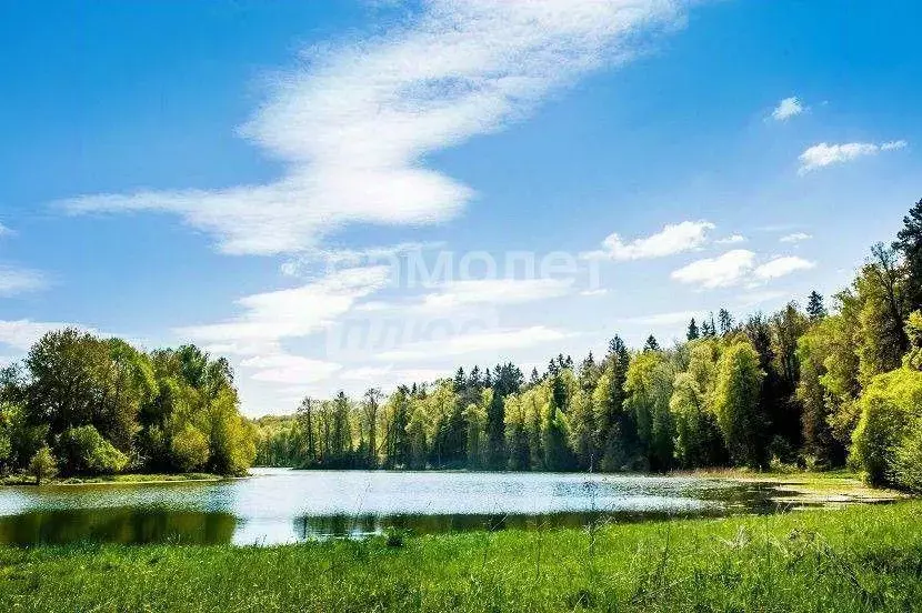 Участок, 10 сот., поселения (ижс) - Фото 2