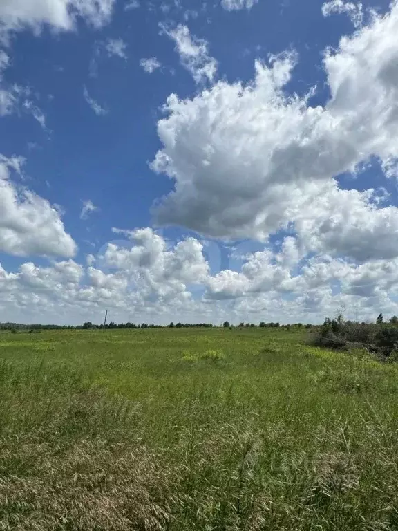 Участок в Тульская область, Новомосковск ул. Риммы Тарасовой, 48 (15.0 ... - Фото 2