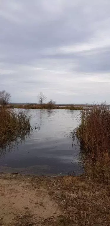 Участок в Самарская область, Приволжский район, Новоспасский с/пос, с. ... - Фото 1