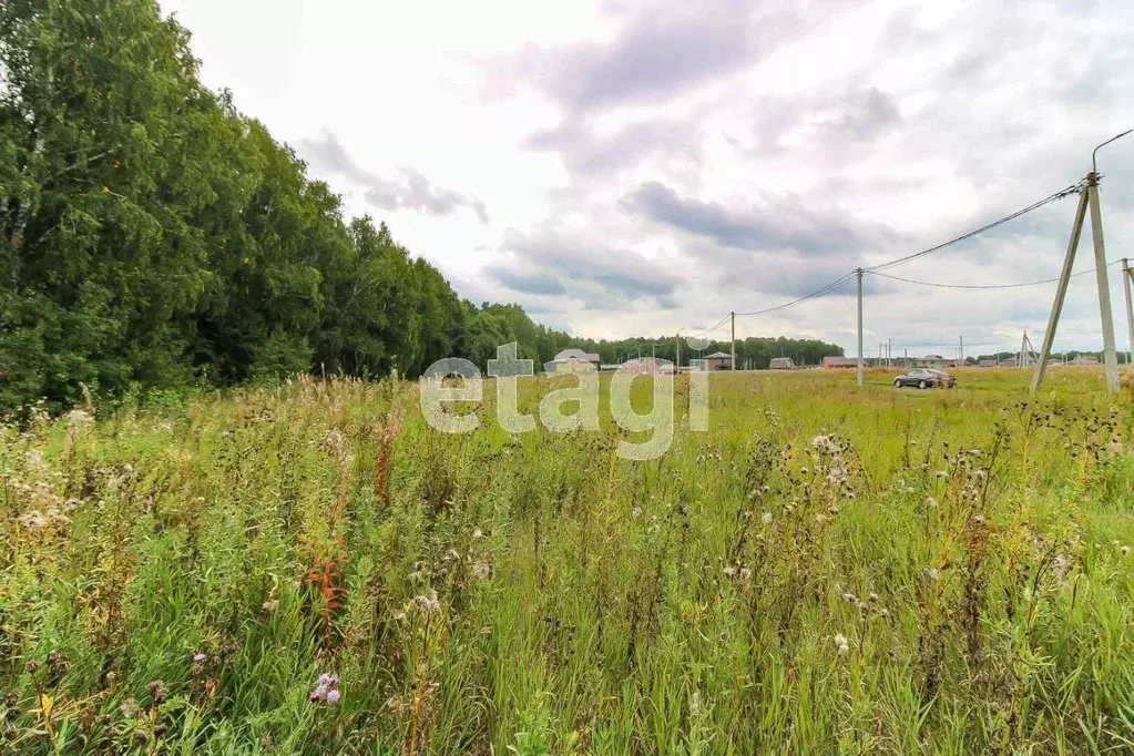 Участок в Тюменская область, Тюменский муниципальный округ, д. Ушакова ... - Фото 1