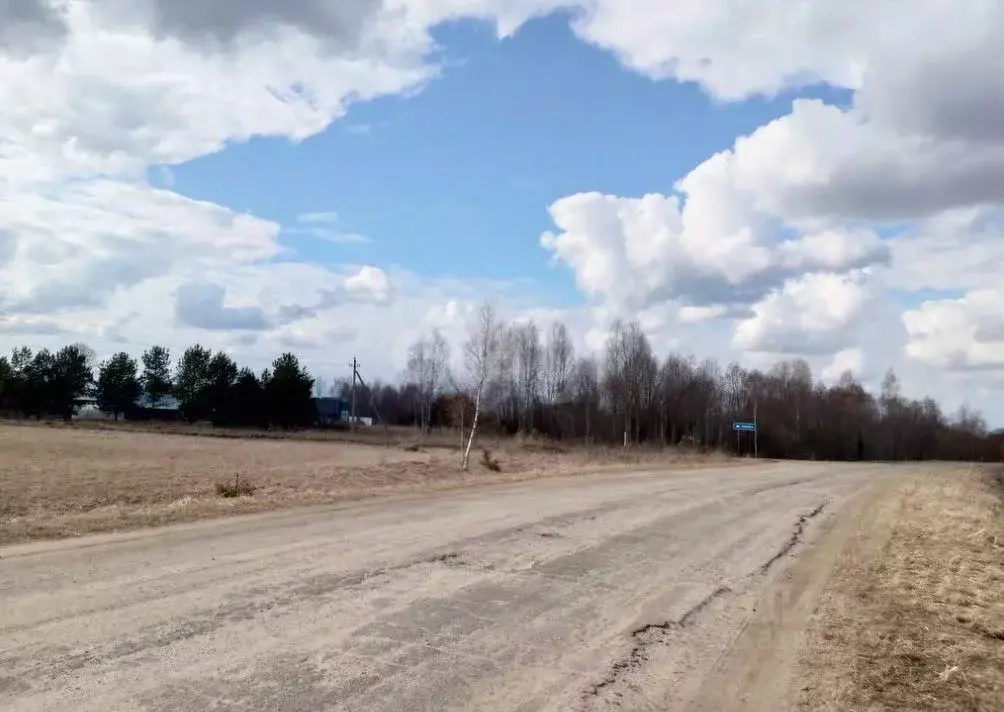 Участок в Ярославская область, Тутаевский муниципальный округ, д. ... - Фото 1