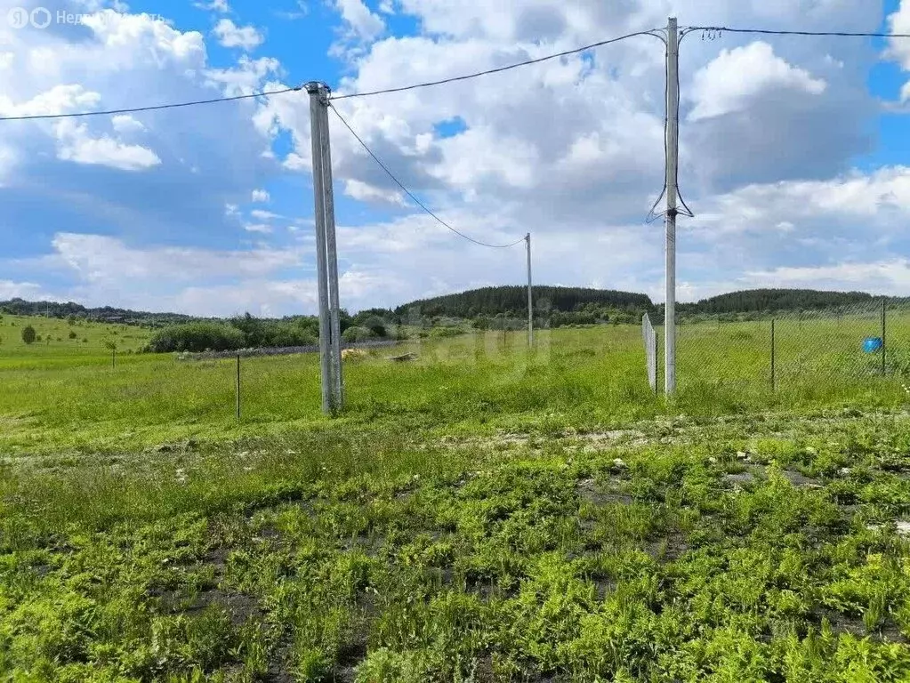 Участок в Лямбирский район, Пензятское сельское поселение, село ... - Фото 2