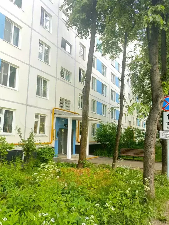 Квартира-студия, 20 м, 1/9 эт. - Фото 1
