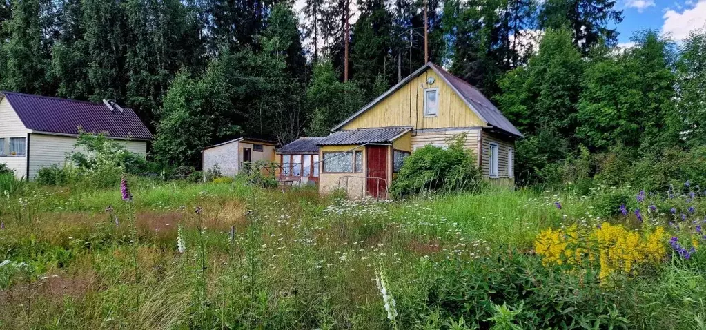 дом в карелия, прионежский район, нововилговское с/пос ул. нулевая, 17 . - Фото 0