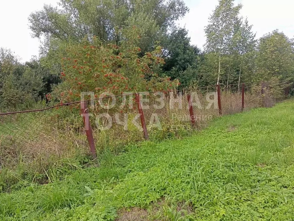 Дом в Новгородская область, Боровичи ул. Шахтеров, 11 (38 м) - Фото 1