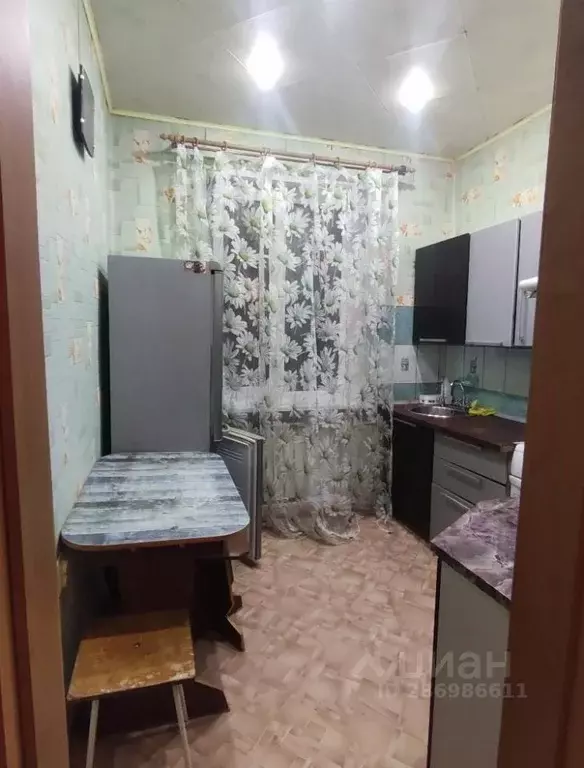 2-к кв. Волгоградская область, Волгоград Корпусная ул., 39 (50.0 м) - Фото 1