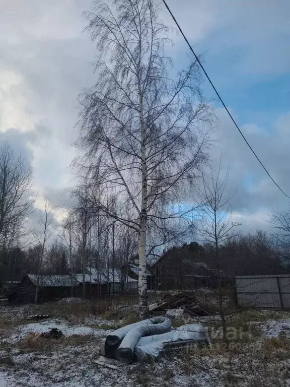 Участок в Ленинградская область, Ломоносовский район, Лебяженское ... - Фото 0