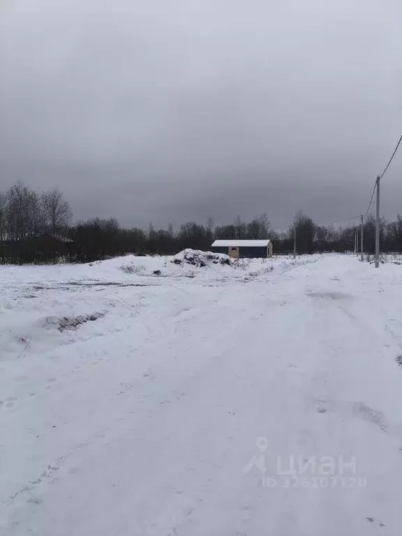 Участок в Ленинградская область, Всеволожский район, Колтушское ... - Фото 1