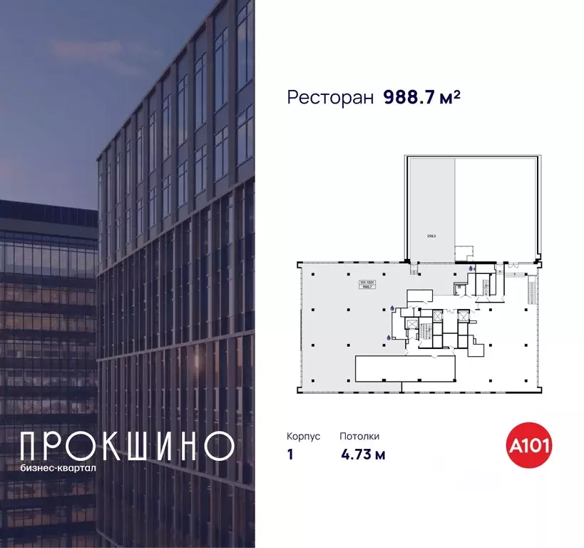 Помещение свободного назначения в Москва № 35 кв-л, 10 (989 м) - Фото 2