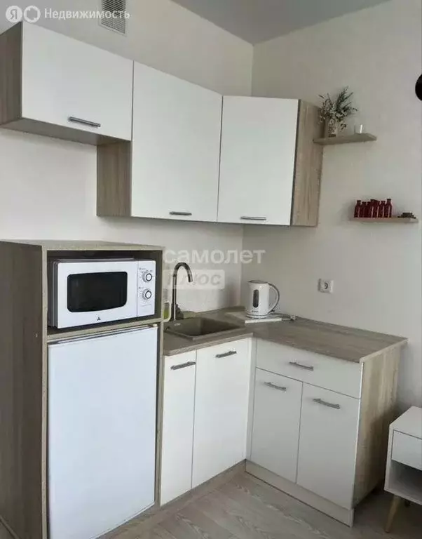 Квартира-студия: село Засечное, Светлая улица, 14 (20 м) - Фото 2