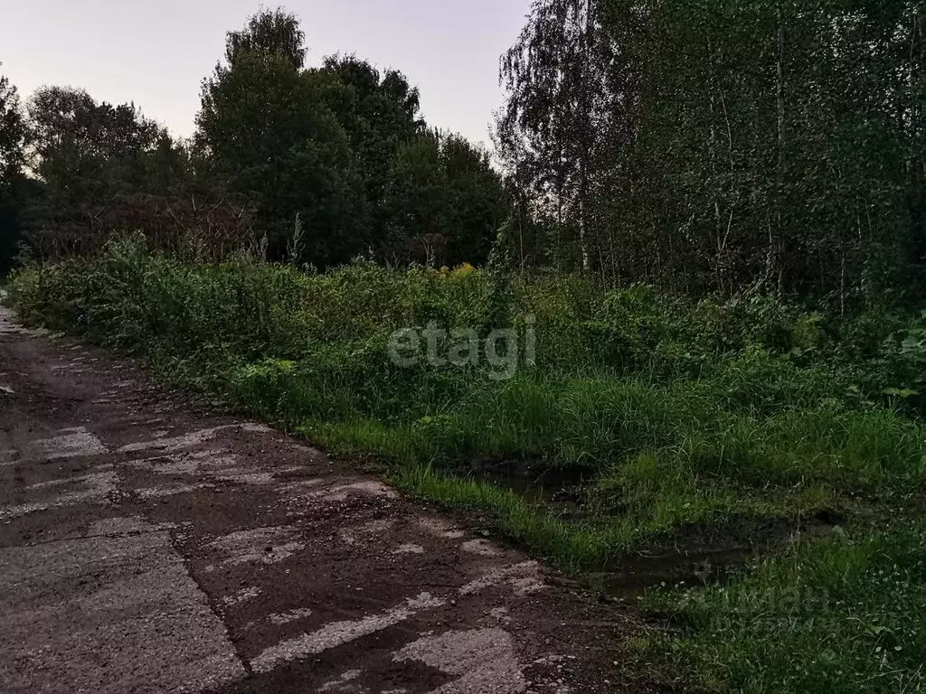 Участок в Московская область, Мытищи городской округ, д. Зимино 1 (6.0 ... - Фото 0